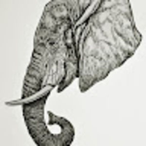 Meet your Posher, Grant